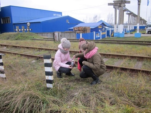 Проект учащихся СШ №1 г. Белоозерска «Тяжелые металлы в почве» удостоен диплома 1 степени на районной научно-практической конференции - 2